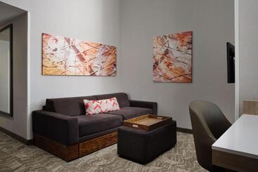 هتل Springhill Suites Minneapolisst. Paul Airport/mall Of America