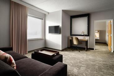 هتل Springhill Suites Minneapolisst. Paul Airport/mall Of America