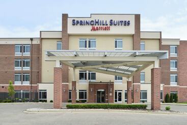 Springhill Suites By Marriott Detroit Metro Airport Romulus