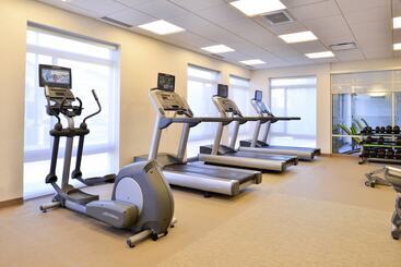 Springhill Suites By Marriott Detroit Metro Airport Romulus