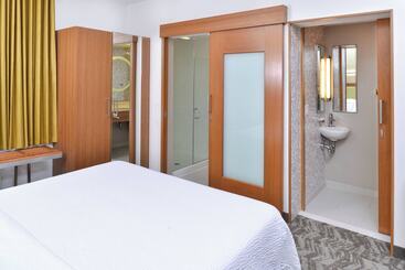 Springhill Suites By Marriott Detroit Metro Airport Romulus