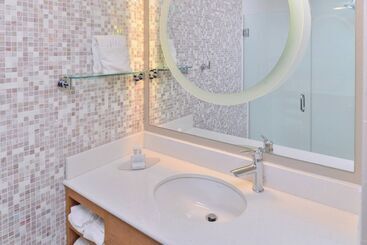 Springhill Suites By Marriott Detroit Metro Airport Romulus