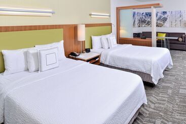 Springhill Suites By Marriott Detroit Metro Airport Romulus
