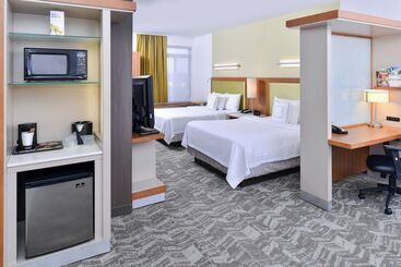 هتل آپارتمان Springhill Suites By Marriott Detroit Metro Airport Romulus