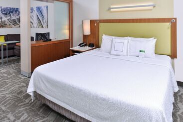 Springhill Suites By Marriott Detroit Metro Airport Romulus