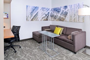 Springhill Suites By Marriott Detroit Metro Airport Romulus