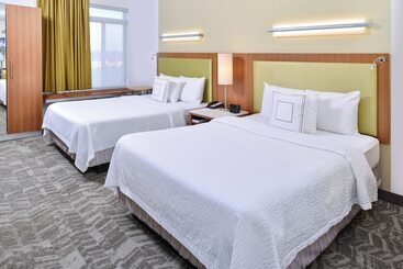 Springhill Suites By Marriott Detroit Metro Airport Romulus