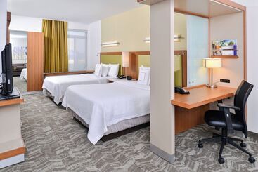 Springhill Suites By Marriott Detroit Metro Airport Romulus
