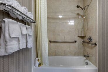בית מלון כפרי Best Western Plus Dfw Airport West Euless
