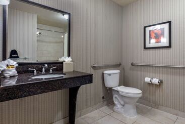 בית מלון כפרי Best Western Plus Dfw Airport West Euless