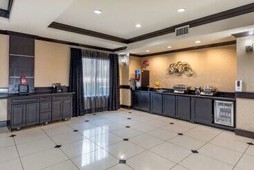 בית מלון כפרי Best Western Plus Dfw Airport West Euless