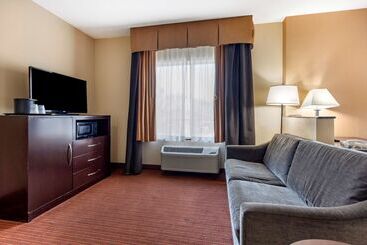 בית מלון כפרי Best Western Plus Dfw Airport West Euless