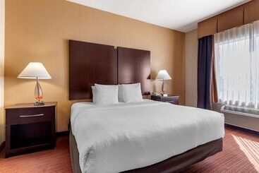 בית מלון כפרי Best Western Plus Dfw Airport West Euless