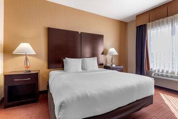 בית מלון כפרי Best Western Plus Dfw Airport West Euless