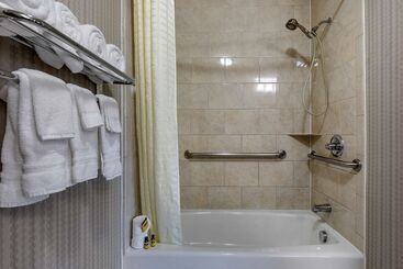 בית מלון כפרי Best Western Plus Dfw Airport West Euless