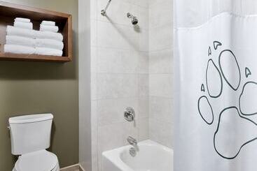 استراحتگاه Great Wolf Lodge Concord