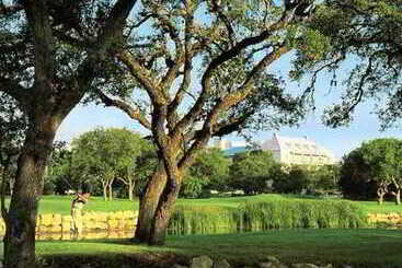 Springhill Suites By Marriott San Antonio Airport