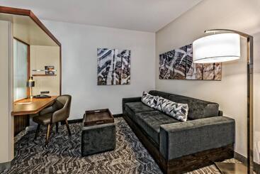 Springhill Suites By Marriott San Antonio Airport
