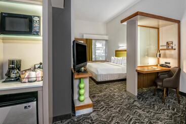 Springhill Suites By Marriott San Antonio Airport
