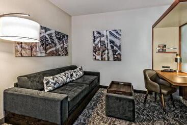 Springhill Suites By Marriott San Antonio Airport