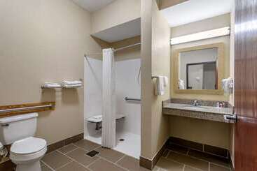 هتل Comfort Inn & Suites Carbondale University Area