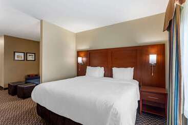 هتل Comfort Inn & Suites Carbondale University Area
