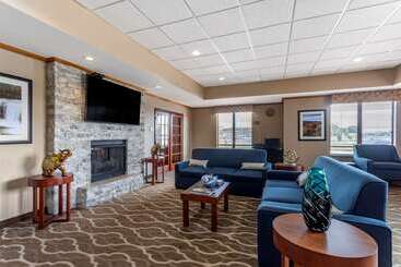 هتل Comfort Inn & Suites Carbondale University Area