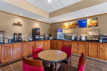 هتل Comfort Inn & Suites Carbondale University Area