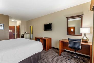 هتل Comfort Inn & Suites Carbondale University Area