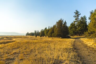 Running Y Ranch Golf & Spa Resort