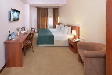 هتل Ani Central Inn