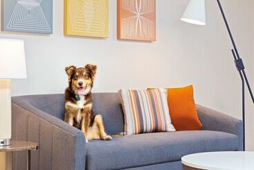 ホテル Homewood Suites By Hilton Boston/canton, Ma