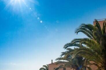 Vila Palmeira Beach Resort