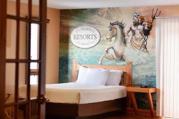 Mt. Olympus Water Park And Theme Park Resort