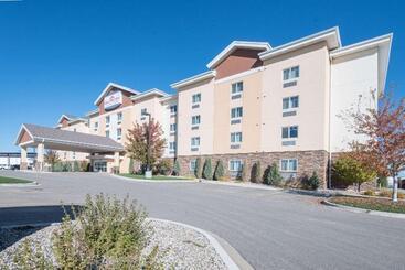 هتل Hawthorn Suites By Wyndham Williston