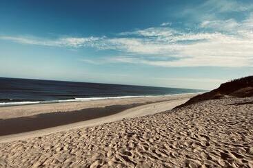汽车旅馆  Eagle Wing Inn   Cape Cod