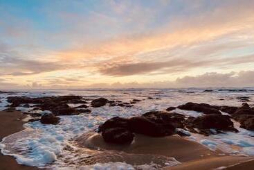 مُتل Seahorse Oceanfront Lodging