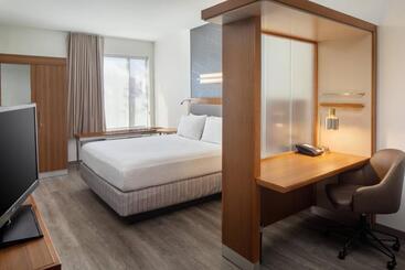 Springhill Suites By Marriott Midland Odessa