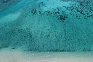 ホテル Minshuku Robinson