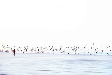 هتل Ocean Vagabond Dakhla