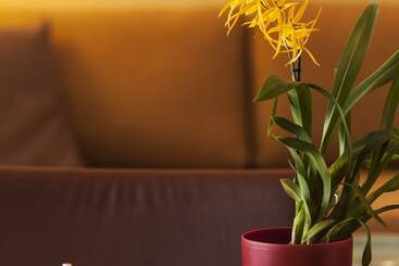 هتل Krinos Suites