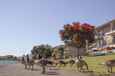 هتل Best Western Plus Bayside