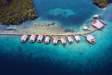 Punta Caracol Acqua Lodge - Bocas del Toro