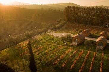 The Wine House Hotel   Quinta Da Pacheca