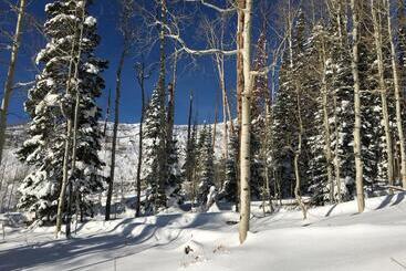 هتل The Viking Lodge   Downtown Winter Park Colorado