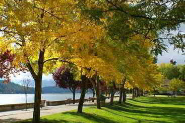 Springhill Suites Coeur D'alene