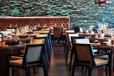 هتل Renaissance Santiago By Marriott