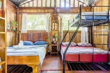 پانسیون Luminosa Uvita Hostel