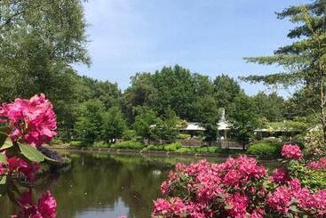 تختخواب و صبحانه Chalet Heggemus Oisterwijk