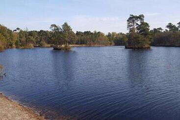 تختخواب و صبحانه Chalet Heggemus Oisterwijk
